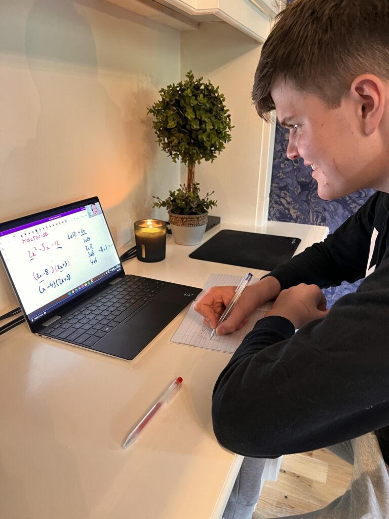 5th year higher level maths